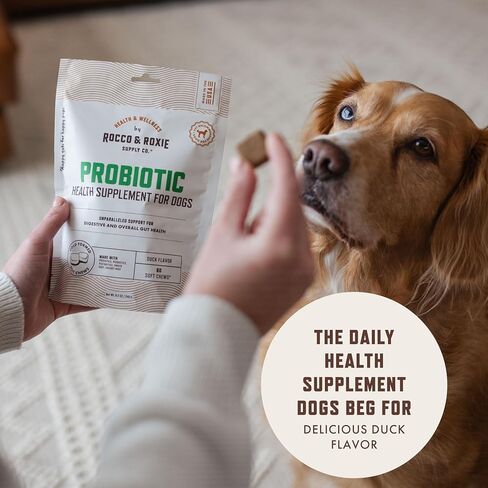Rocco & Roxie Dog Allergy Relief Chews with Omega 3 for Dogs, Probiotics for Itching Skin, Stop Paw Licking, Fish Oil Skin and Coat Supplement, Anti-Itch, Pet Itchy Allergies and Immune Support, 60ct in Kuwait