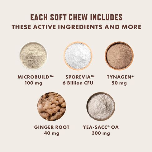 Rocco & Roxie Dog Allergy Relief Chews with Omega 3 for Dogs, Probiotics for Itching Skin, Stop Paw Licking, Fish Oil Skin and Coat Supplement, Anti-Itch, Pet Itchy Allergies and Immune Support, 60ct in Kuwait