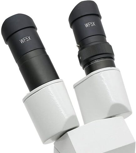Microscope Slides Stereo Microscope Eyepiece WF5X WF10X WF15X WF20X Optical Lens, Mounting Diameter 30mm Or 30.5mm with Rubber Eye Cups Microscope Parts in Saudi Arabia