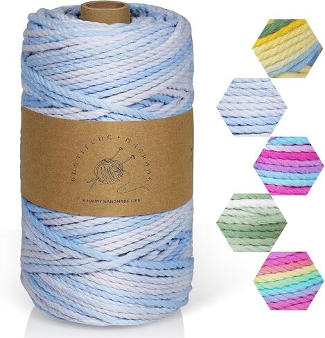 Macrame Cord 3mmx100yd 100 ٪ Cotton Ombre Macrame Rope Cord for Plant Hanging Wall Hanging Diy Handmade Alcs Wall Hanging Dreamcatcher Christmas Crafts Knitting-Rainbow in Kuwait