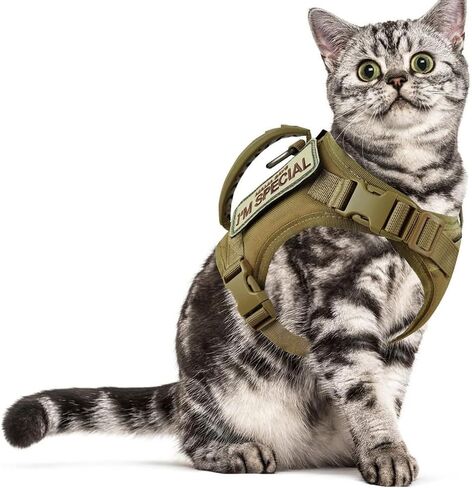 Tactical Cat Harness & Leash Set - Escape-Proof Adjustable for Walking Small Dog Vest Harness with Patches, Soft Mesh Padding and Rubber Handle for Easy Control (Khaki) in Kuwait