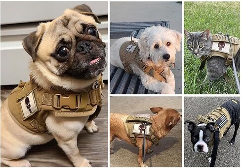 Tactical Cat Harness & Leash Set - Escape-Proof Adjustable for Walking Small Dog Vest Harness with Patches, Soft Mesh Padding and Rubber Handle for Easy Control (Khaki) in Kuwait