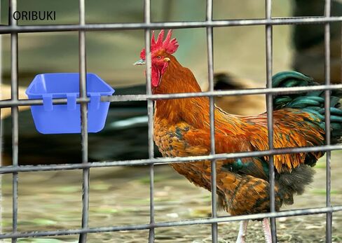 20 حزمة قفص أكواب الطيور المغذيات البذور وعاء الدجاج تغذية طبق سقي الأرنب الماء الطعام معلقة أقفاص الأسلاك مربع 16 أوقية كوب كوب للببغاء الببغاء لعبة الببغاء الحمام الدواجن (أحمر كبير) in Kuwait
