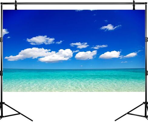 Ocean Beach Aquarium Background Tropical Beach Seascape Coconut Trees Terrarium Backgrounds Sunny Seabeach Coastal Landscape Fish Tank Background Blue Ocean Sandbeach Reptile Tank Backgrounds 36x24in in Kuwait