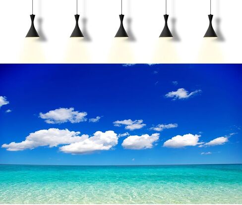 Ocean Beach Aquarium Background Tropical Beach Seascape Coconut Trees Terrarium Backgrounds Sunny Seabeach Coastal Landscape Fish Tank Background Blue Ocean Sandbeach Reptile Tank Backgrounds 36x24in in Kuwait