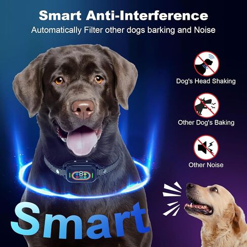 Bark Collar, Dog Bark Collar for Small Medium Dogs,Dog Barking Collar, Barking Collar for Small Dogs with 7 Levels of Adjustable Sensitivity and 9 Levels of Impact Strength in Saudi Arabia