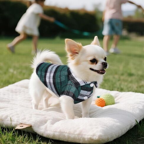 3 PCS Dog Closed Dlaid Dlaid Puppy Clother Button Up Cat Shirt for Small Pet Dogs Cat Cat Christmas (Medium) in Kuwait