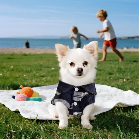 3 PCS Dog Closed Dlaid Dlaid Puppy Clother Button Up Cat Shirt for Small Pet Dogs Cat Cat Christmas (Medium) in Kuwait