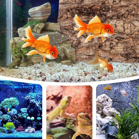 Popetpop 3pcs الزواحف الطبيعية الزواحف تيراريوم ديكور داءلة خزان الأسماك متعددة الوظائف للزواحف والمناظر الطبيعية السهل وضعية وآمنة للحيوانات الأليفة in Saudi Arabia