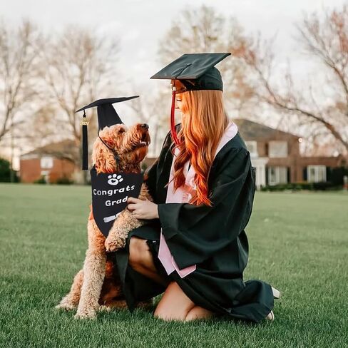 قبعة تخرج للكلاب من AUGSUN وباندانا، قبعة تخرج للكلاب مع 2024 ملابس تخرج للكلاب بشرابة، باندانا تخرج للكلاب الصغيرة والمتوسطة والكبيرة (قبعة سوداء وباندانا تهنئة التخرج) in Kuwait