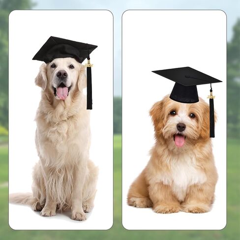 قبعة تخرج للكلاب من AUGSUN وباندانا، قبعة تخرج للكلاب مع 2024 ملابس تخرج للكلاب بشرابة، باندانا تخرج للكلاب الصغيرة والمتوسطة والكبيرة (قبعة سوداء وباندانا تهنئة التخرج) in Kuwait