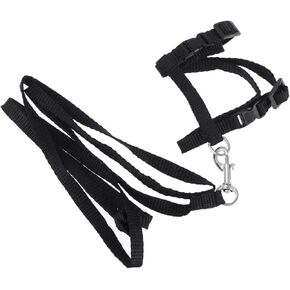 حبل جزر الأليف من طوق النايلون الحبل للقطط آمنة ومريحة لوازم المشي in Kuwait