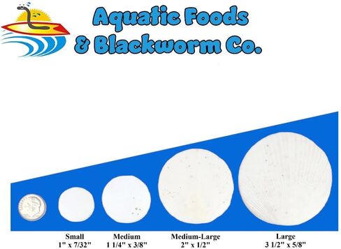 Aquatic Foods Inc. Calcium Enriched Sinking Food Disks for Shrimp, Snails, Crabs, Crayfish, Hermit Crabs, Plecos, Catfish, Bottom Fish, All Tropical Fish. 25 Small & 25 Medium Discs Jar in Saudi Arabia
