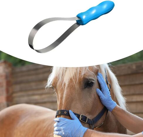 Pet Shedding Blade Horse Hair Comb with Sturdy Handle, Double-Sided Grooming Tool for Horses, Dogs, Cats, Cattle and Donkeys- Single Loop in Saudi Arabia