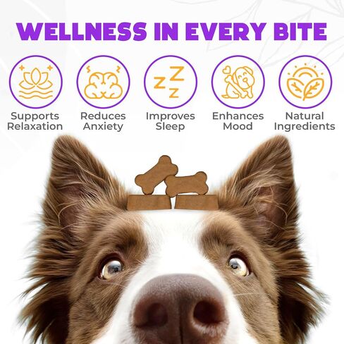 Hemp Calming Chews for Dogs Anxiety 200 pcs - Chicken Flavored - Dog Anxiety Relief - Dog Calming Chews - Melatonin for Dogs - for Stress, Travel, Check-up, Barking or Grooming - Dog Calming Treats in Kuwait