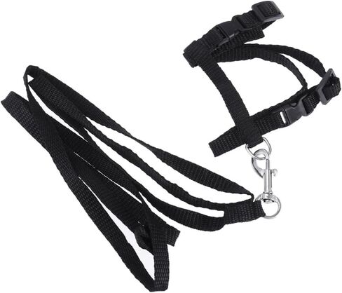 حبل جزر الأليف من طوق النايلون الحبل للقطط آمنة ومريحة لوازم المشي in Kuwait