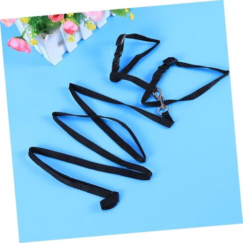 حبل جزر الأليف من طوق النايلون الحبل للقطط آمنة ومريحة لوازم المشي in Kuwait