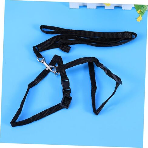 حبل جزر الأليف من طوق النايلون الحبل للقطط آمنة ومريحة لوازم المشي in Kuwait