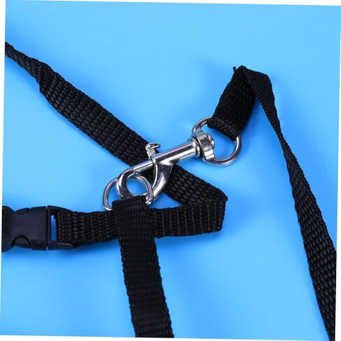 حبل جزر الأليف من طوق النايلون الحبل للقطط آمنة ومريحة لوازم المشي in Kuwait