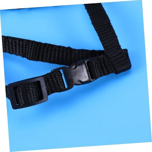 حبل جزر الأليف من طوق النايلون الحبل للقطط آمنة ومريحة لوازم المشي in Kuwait