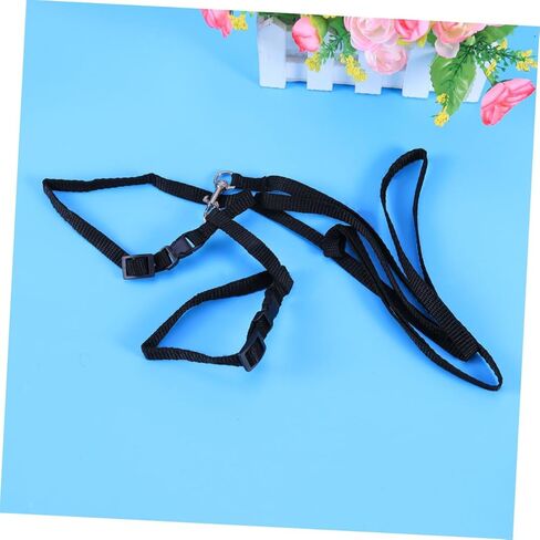 حبل جزر الأليف من طوق النايلون الحبل للقطط آمنة ومريحة لوازم المشي in Kuwait