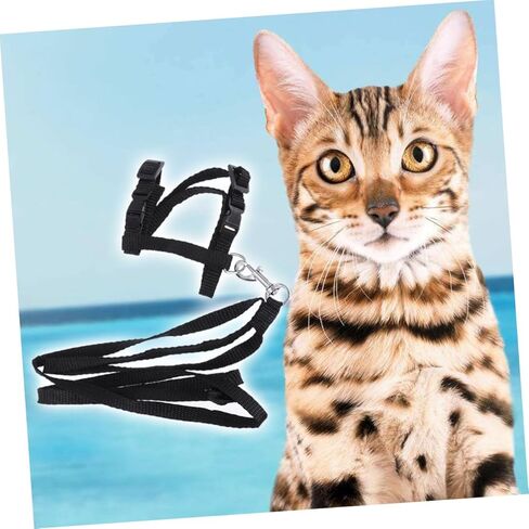 حبل جزر الأليف من طوق النايلون الحبل للقطط آمنة ومريحة لوازم المشي in Kuwait