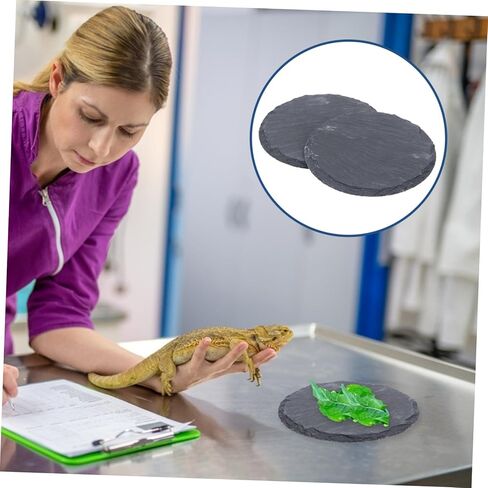 Luxshiny 2pcs منصة التشمس الحجرية الطبيعية للزواحف منطقة تسلق الأطباق الأطباق السلحفاة للزواحف in Kuwait