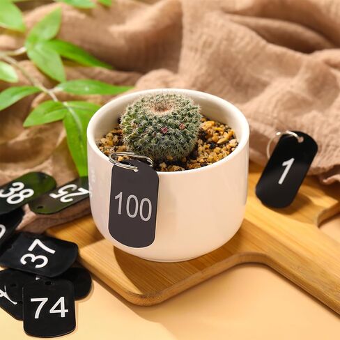 100 PCS علامات رقم الألومنيوم مع حلقات المفاتيح رقم 1-100 علامات مفتاح معدني لتحديد هوية فندق خزانة المنزل (الأزرق ، مستطيلة) in Saudi Arabia