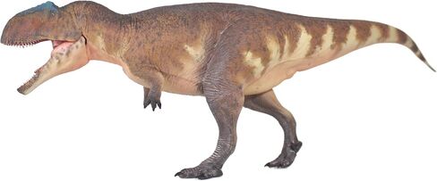 New Giganotosaurus 135 نموذج العلوم والفن (Guan Sheng) in Kuwait