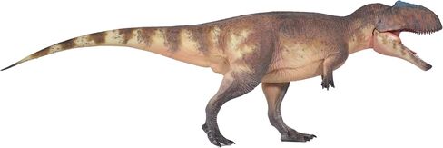 New Giganotosaurus 135 نموذج العلوم والفن (Guan Sheng) in Kuwait