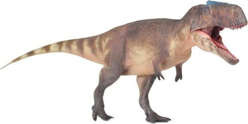 New Giganotosaurus 135 نموذج العلوم والفن (Guan Sheng) in Kuwait