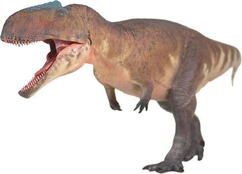 New Giganotosaurus 135 نموذج العلوم والفن (Guan Sheng) in Kuwait