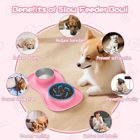 Mateeylife Dog Food and Water Bowl 3 في 1 ، أوعية الكلب بطيئة تغذية وعاء ماء من الفولاذ المقاوم للصدأ مع حصيرة السيليكون غير الممتدة والقطط والجرو الأطباق للحيوانات الأليفة لسلالة صغيرة متوسطة مضادة للالتزام in Kuwait