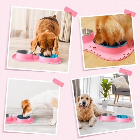 Mateeylife Dog Food and Water Bowl 3 في 1 ، أوعية الكلب بطيئة تغذية وعاء ماء من الفولاذ المقاوم للصدأ مع حصيرة السيليكون غير الممتدة والقطط والجرو الأطباق للحيوانات الأليفة لسلالة صغيرة متوسطة مضادة للالتزام in Kuwait