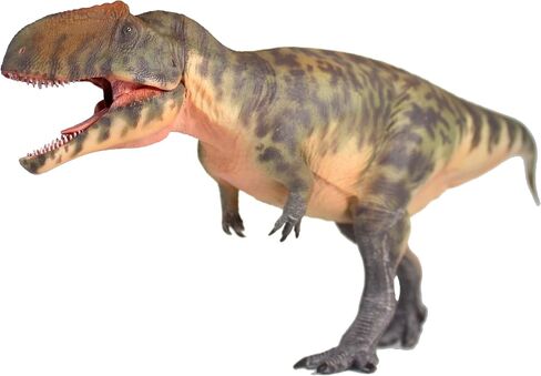 New Giganotosaurus 135 نموذج العلوم والفن (Guan Sheng) in Kuwait