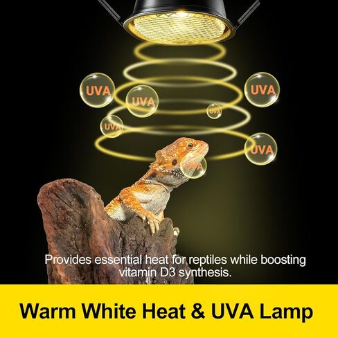 G9 Reptile Infrared Heat Lamp, Terrarium Heating Lamp Fixture with 50W UVA Low Profile Night Red Bulb | Safety Mesh, Tank Hood Basking Spot Light for Bearded Dragons Turtles Lizards Geckos in Saudi Arabia