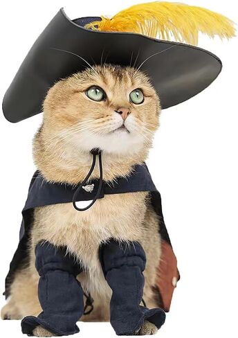 أزياء Cosplay Costume Cats Dogs Dress Up Atten Suit Boots with Cloak Hat Belt Belt Cape Assories ، Black in Kuwait