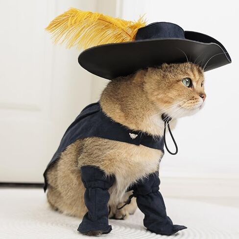 أزياء Cosplay Costume Cats Dogs Dress Up Atten Suit Boots with Cloak Hat Belt Belt Cape Assories ، Black in Kuwait