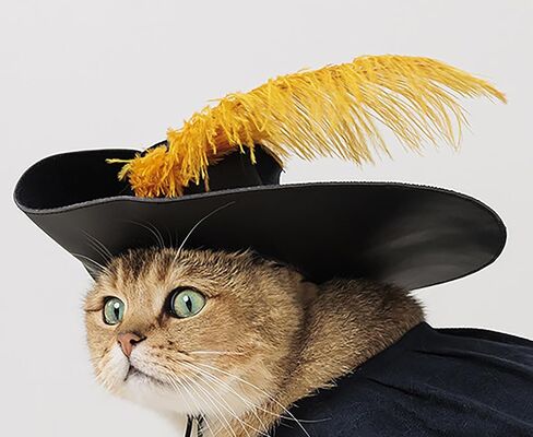 أزياء Cosplay Costume Cats Dogs Dress Up Atten Suit Boots with Cloak Hat Belt Belt Cape Assories ، Black in Kuwait