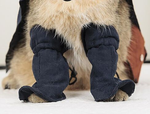 أزياء Cosplay Costume Cats Dogs Dress Up Atten Suit Boots with Cloak Hat Belt Belt Cape Assories ، Black in Kuwait