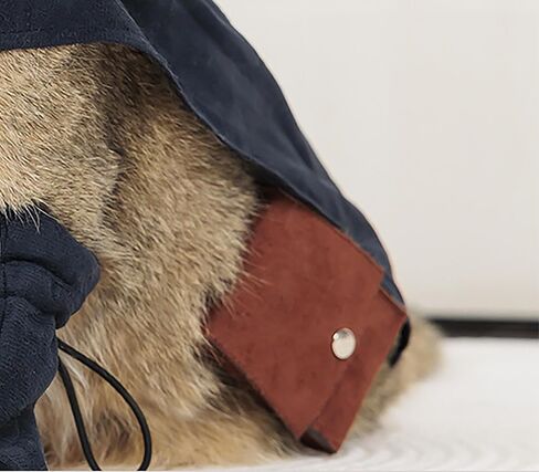 أزياء Cosplay Costume Cats Dogs Dress Up Atten Suit Boots with Cloak Hat Belt Belt Cape Assories ، Black in Kuwait