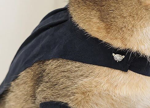 أزياء Cosplay Costume Cats Dogs Dress Up Atten Suit Boots with Cloak Hat Belt Belt Cape Assories ، Black in Kuwait