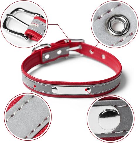 Personalized Reflective Cat Collars with Name Tag and Plated,Engraved Custom Cat Collar with Name and Phone,Kitten Collar with Safety Buckle Adjustable for Cats and Kitten(Blue) in Kuwait