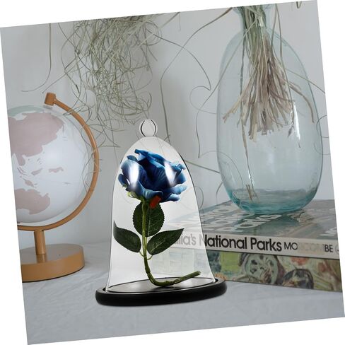 Garneck واقعية غلاف النبات غطاء زجاجية نبات terrarium jar أضف نضارة إلى متجرك المنزلي in Saudi Arabia