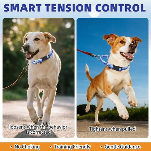 طوق Kooltail Martingale للكلاب ، طوق الكلب الشاق الناعم من النايلون الكلب للكلاب الصغيرة المتوسطة الصغيرة ، لا يمكن تعديله بدون سحب جرو عريض متين مع تصميم نمط للفتيان ، الأزرق L in Kuwait