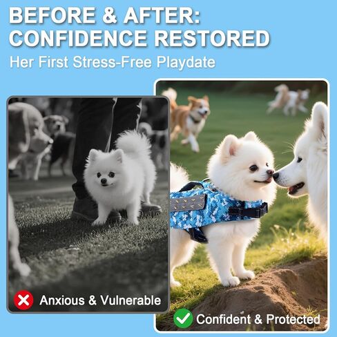 سترة حماية تسخير الكلب للكلاب الصغيرة مع إكسسوارات الكلاب العاكسة 5 أقدام مع المسامير القابلة للإزالة للحماية ضد الكلاب العدوانية (S: أوصين بالوزن 9-13 رطل) in Kuwait