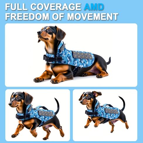 سترة حماية تسخير الكلب للكلاب الصغيرة مع إكسسوارات الكلاب العاكسة 5 أقدام مع المسامير القابلة للإزالة للحماية ضد الكلاب العدوانية (S: أوصين بالوزن 9-13 رطل) in Kuwait