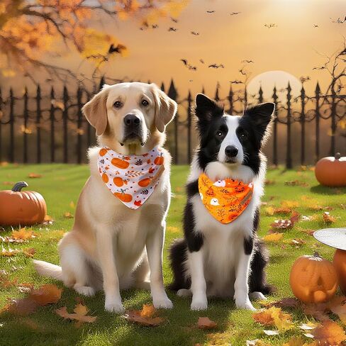 2 حزمة هالوين الكلب عصابات ، شعار العلامة التجارية الجلدية ، النسيج المزدوج للبشرة ناعمة ، ملحق وشاح الخريف للبنين والبنات ، مناسبة للهالوين والمشي اليومي والرزحة العائلية in Kuwait