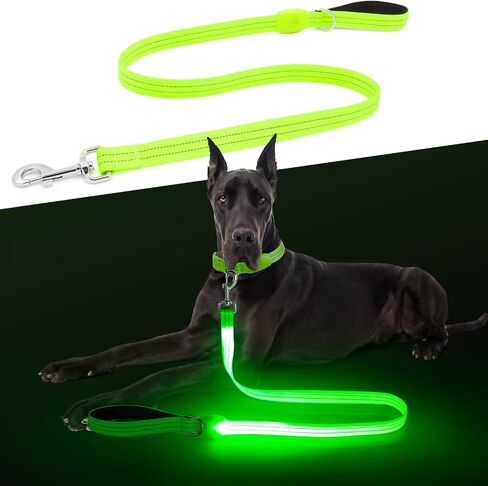 مقود الكلب LED ، Light Up Dog Leash 4 أقدام مضاءة بالكامل USB مقاومة للماء ، مقاوم نايلون عاكسة مع مقبض مبطن للمشي ليلة الكلاب ، توهج السلامة في الظلام للحيوانات الأليفة الكبيرة المتوسطة in Kuwait