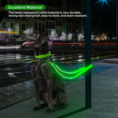 مقود الكلب LED ، Light Up Dog Leash 4 أقدام مضاءة بالكامل USB مقاومة للماء ، مقاوم نايلون عاكسة مع مقبض مبطن للمشي ليلة الكلاب ، توهج السلامة في الظلام للحيوانات الأليفة الكبيرة المتوسطة in Kuwait